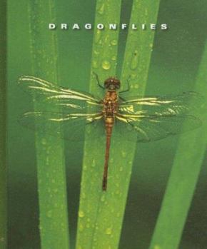 Library Binding Dragonflies Book