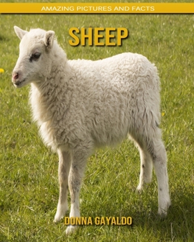 Sheep: Amazing Pictures and Facts