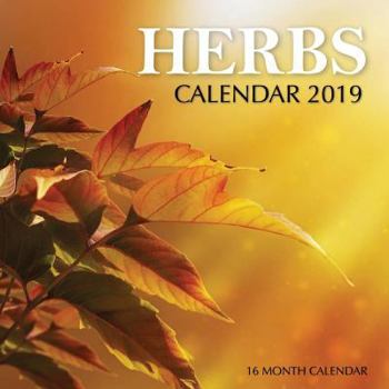 Paperback Herbs Calendar 2019: 16 Month Calendar Book