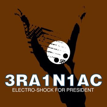 Vinyl Electro Shock For President Book