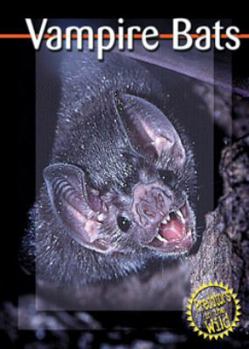 Hardcover Vampire Bats Book