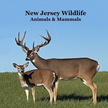 New Jersey Animals and Mammals Kids Wildlife Book: Great Wildlife Book about Animals and Mammals in New Jersey