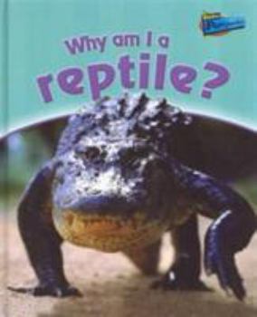 Hardcover Wny Am I A Reptile Book