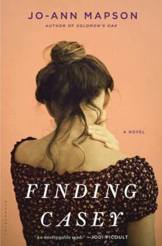Hardcover Finding Casey Book