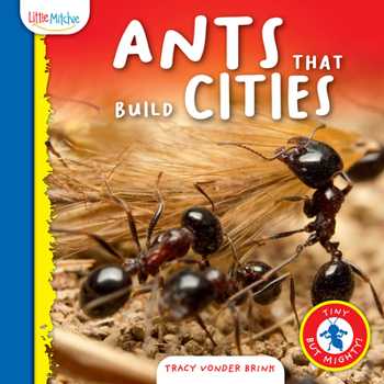 Hardcover Ants That Build Cities Book