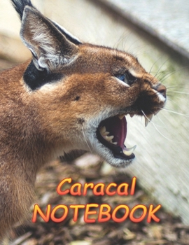 Caracal NOTEBOOK: Notebooks and Journals 110 pages (8.5"x11")