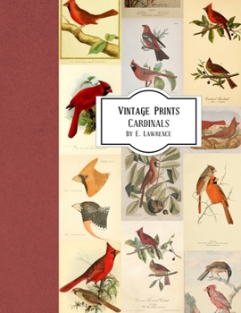 Paperback Vintage Prints: Cardinals Book