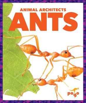 Library Binding Ants Book