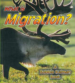 Paperback What Is Migration? Book