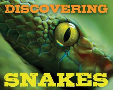 Hardcover Discovering Snakes Handbook Book