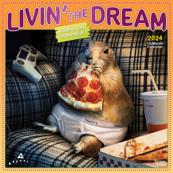 Calendar Avanti Livin' the Dream 2024 Square Foil Book