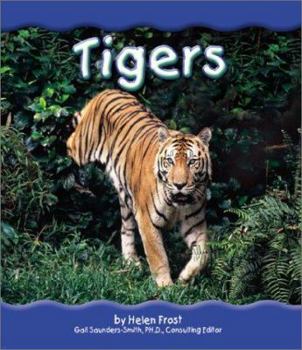 Hardcover Tigers Book