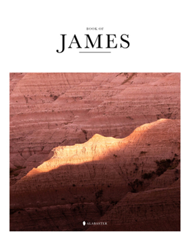 Hardcover Book of James (Hc, Nlt) Book
