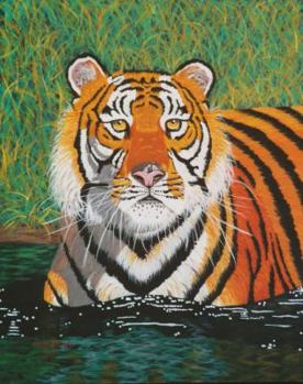 Paperback Nature: A Collection of Poems Book