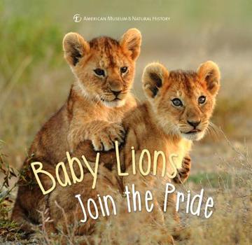 Hardcover Baby Lions Join the Pride Book