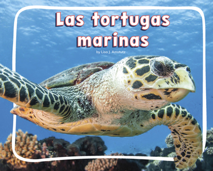 Library Binding Las Tortugas Marinas [Spanish] Book