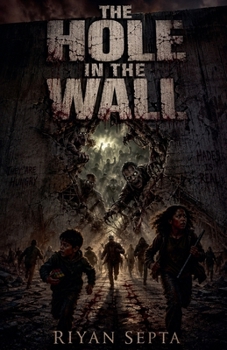 Paperback The Hole in the Wall Book