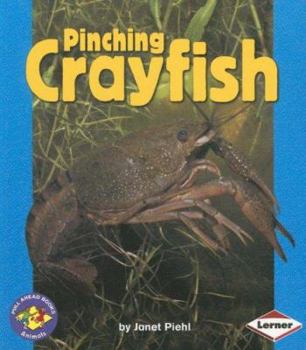 Paperback Pinching Crayfish Book