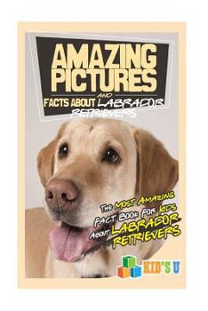 Paperback Amazing Pictures and Facts about Labrador Retrievers: The Most Amazing Fact Book for Kids about Labrador Retrievers Book