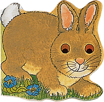 Board book Pocket Bunny Book