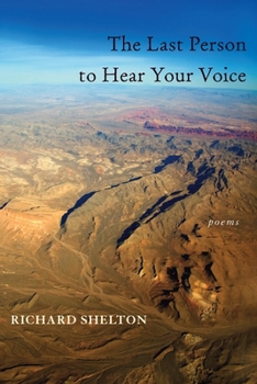 Paperback The Last Person to Hear Your Voice Book