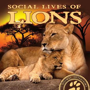 Library Binding Social Lives of Lions Book