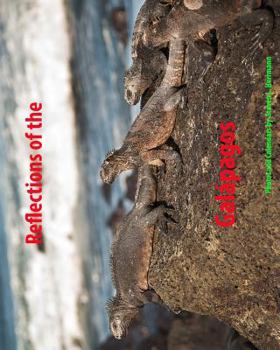 Paperback Reflections of the Galapagos: Calendar 2017 Book