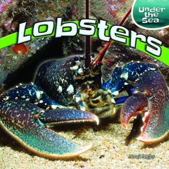 Library Binding Lobsters Book