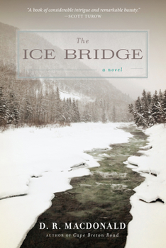 Paperback The Ice Bridge Book