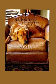 Paperback Sleeping Dogs: ...Ethics in the Workplace Book