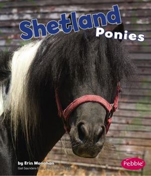 Hardcover Shetland Ponies Book