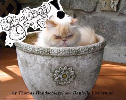 Perfect Paperback Big-Boned Cats! Book