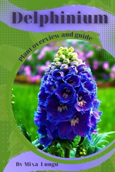 Delphinium: Plant overview and guide