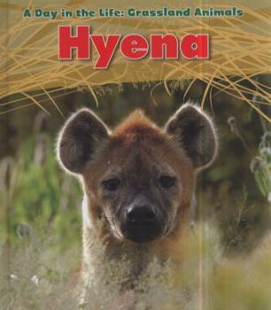 Hardcover Hyena (Day in the Life. Grassland Animals) Book