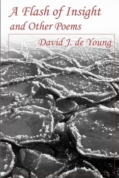 Paperback A Flash of Insight and Other Poems Book