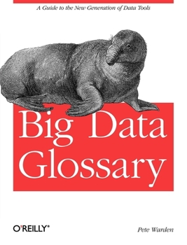 Paperback Big Data Glossary: A Guide to the New Generation of Data Tools Book