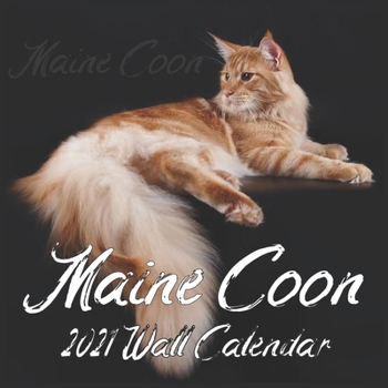 Maine Coon Wall calendar 2021: Kitten Gift for Crazy Cat Lady Cat Lover, Animal Lover,. Stocking Stuffer or Gift Exchange.