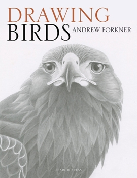 Paperback Drawing Birds Book