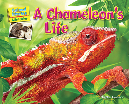 Paperback A Chameleon's Life Book