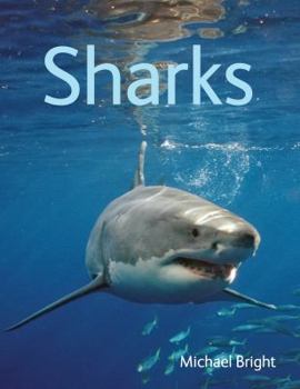 Paperback Sharks Book