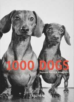 Hardcover 1000 Dogs Book