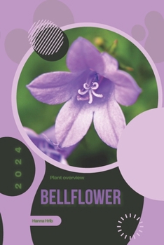 Bellflower: Simply beginners guide