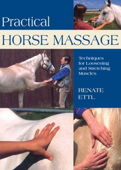 Paperback Practical Horse Massage: Techniques for Loosening and Stretching Muscles Book