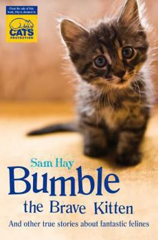 Paperback Bumble the Brave Kitten: In Association with Cats Protection Book