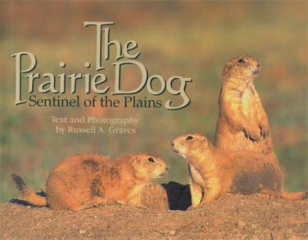 Hardcover The Prairie Dog: Sentinel of the Plains Book