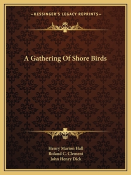 A Gathering Of Shore Birds