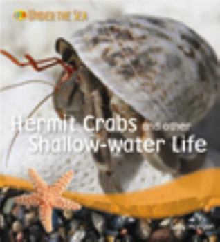 Library Binding Hermit Crabs and Other Shallow-Water Life Book