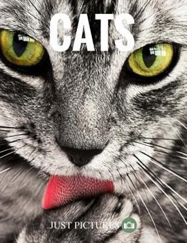 Paperback Cats Book