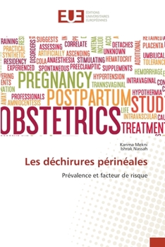 Paperback Les déchirures périnéales [French] Book