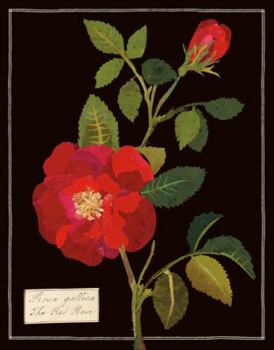 Mary Delany Paper Florals Keepsake Box